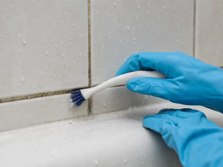 Detail scrubbing during a deep cleaning that a regular visit does not include