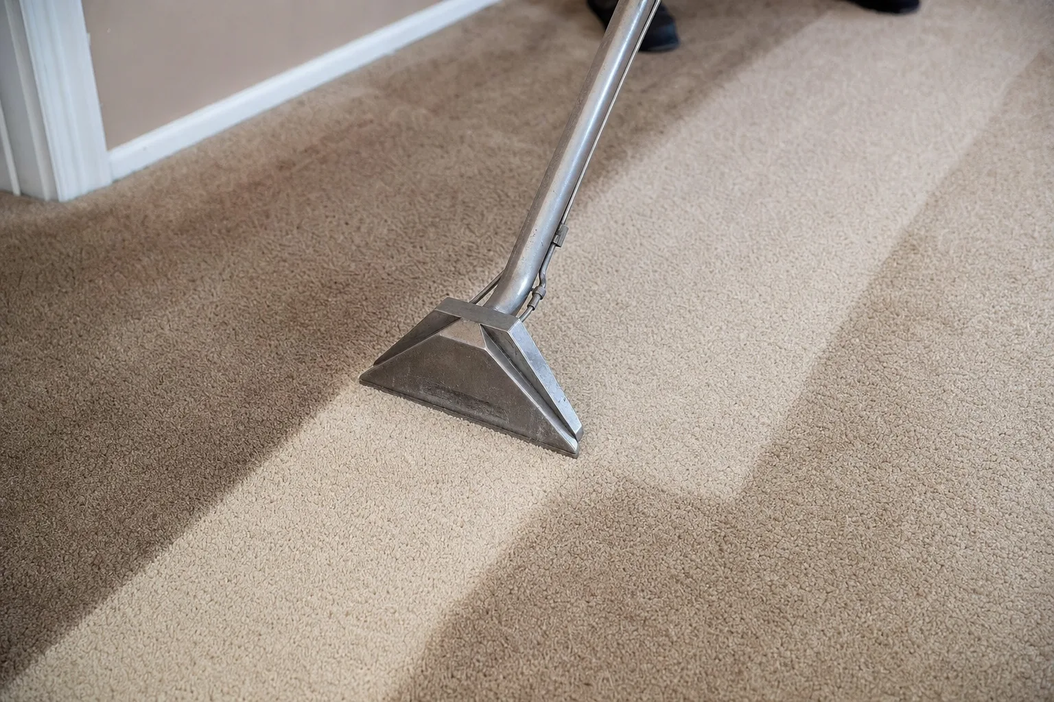 Carpet cleaning wand showing the difference professional cleaning makes